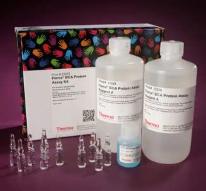Thermo Scientific™ Pierce™ BCA Protein Assay Kit