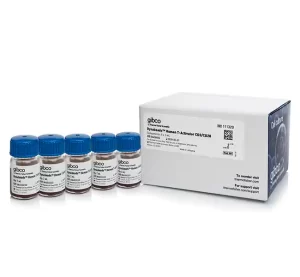 Dynabeads™ Human T-Activator CD3/CD28 for T Cell Expansion and Activation