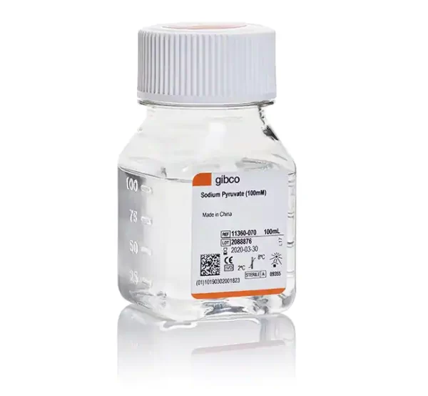 Gibco™ Sodium Pyruvate (100 mM) X