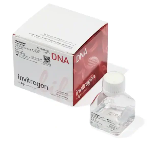 Lipofectamine™ 2000 Transfection Reagent