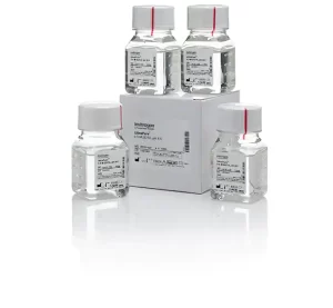UltraPure™ 0.5M EDTA, pH 8.0
