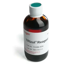 Invitrogen™ TRIzol™ Reagent- SKU: 15596026