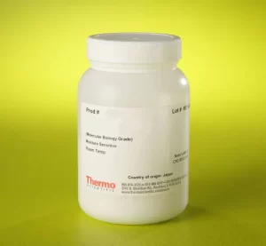 Thermo Scientific™ Agarose I (Molecular Biology Grade)