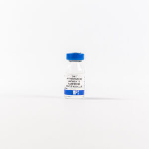 Affinity Purified Goat Anti-Hamster IgG (H&L)