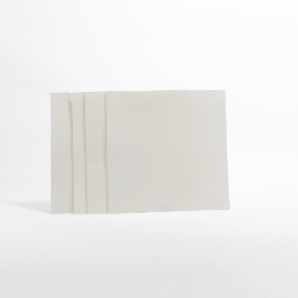 BIOTRANS PVDF membrane sheet