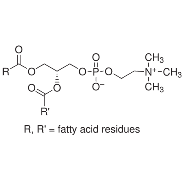 Lecithin