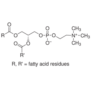 Lecithin