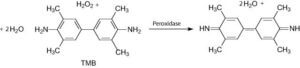 3,3',5,5'-Tetramethylbenzide Liquid Substrate