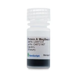 Protein A MagBeads MX