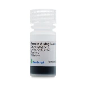 Protein A MagBeads MX