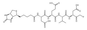 Biotin-Asp(Ome)-Glu(Ome)-Val-Asp(Ome)-fluoromethylketone
