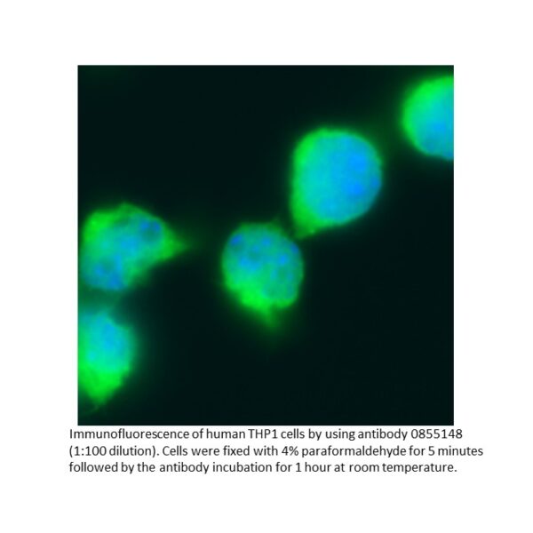 FITC IgG Goat Anti-Human IgG F(ab')2