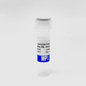 Anti-coronavirus (SARS-CoV-2) (B) Spike S2, mAb