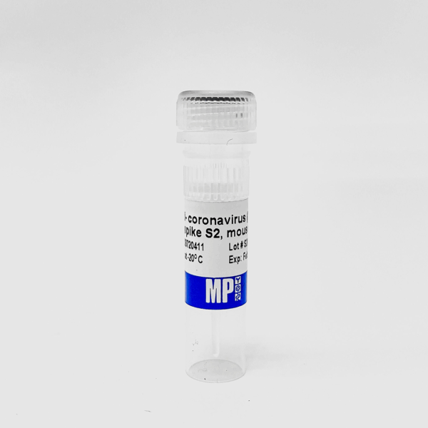 Anti-coronavirus (SARS-CoV-2) (B) Spike S2, mAb