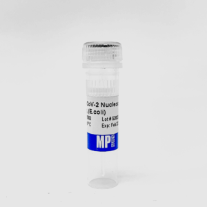 SARS-CoV-2 Nucleocapsid Protein, His tagged (E. coli)