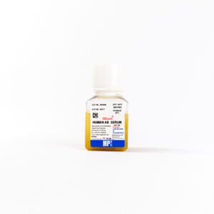 Human Type AB Serum (HCV, HIV, HBsAG Free)