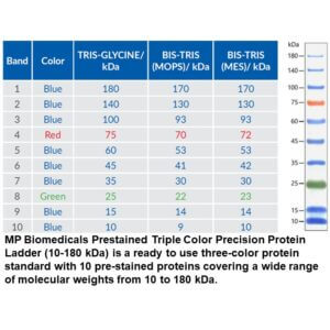 Prestained Triple Color Protein Ladder (10-180 kDa)