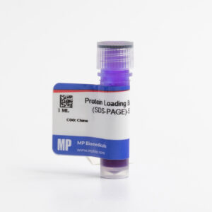 Protein Loading Buffer (SDS-PAGE)-5X