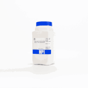 Sabouraud dextrose agar w/o chloramphenicol