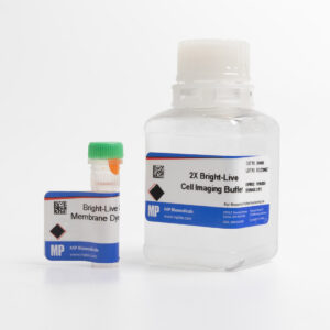 Bright-Live Cell Membrane Imaging 488G Kit