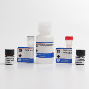 γH2AX Detection 560R Kit
