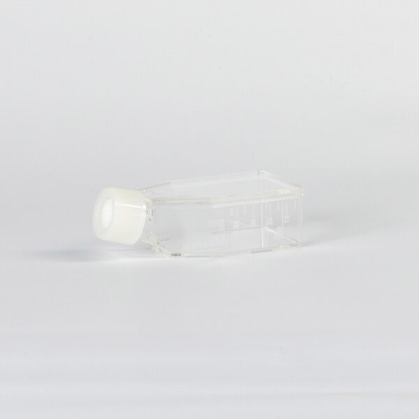 Cell Culture Flask, 25 cm², vent cap, TC-treated