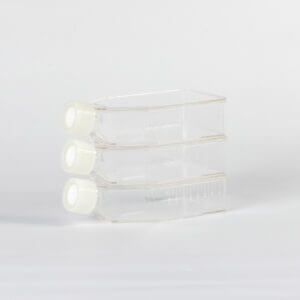 Cell Culture Flask, 75 cm², vent cap, TC-treated