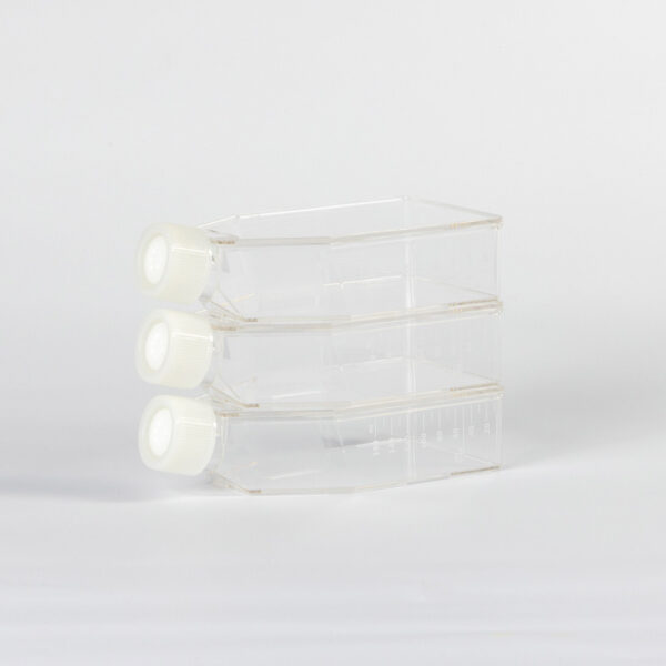 Cell Culture Flask, 75 cm², vent cap, TC-treated