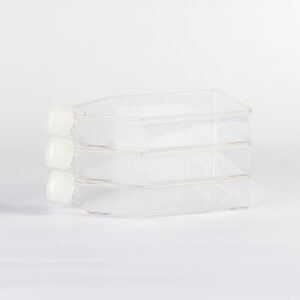 Cell Culture Flask, 175 cm², vent cap, TC-treated