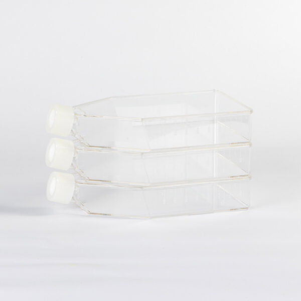 Cell Culture Flask, 175 cm², vent cap, TC-treated