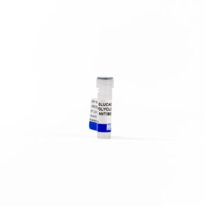 Anti-glucagon rabbit polyclonal antibody