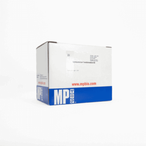 Agrobacterium transformation kit