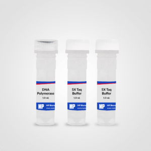 RapidTaq DNA Polymerase