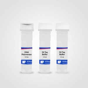 RapidTaq DNA Polymerase