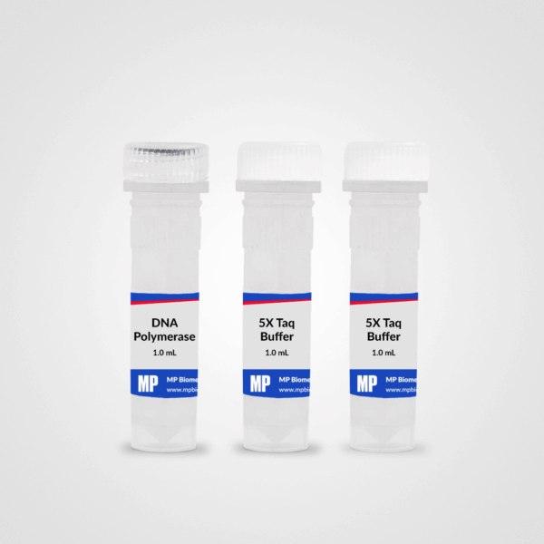 RapidTaq DNA Polymerase
