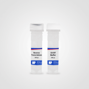 RapidScript RT Kit