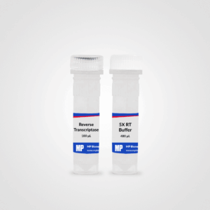 RapidScript RT Kit