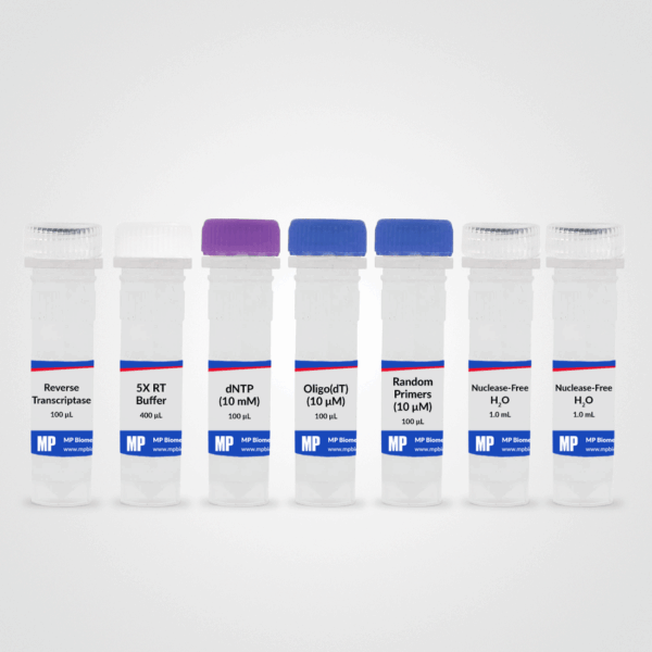 RapidScript cDNA Synthesis Kit