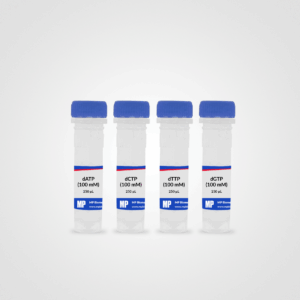 dNTP (dATP, dCTP, dTTP, dGTP) set