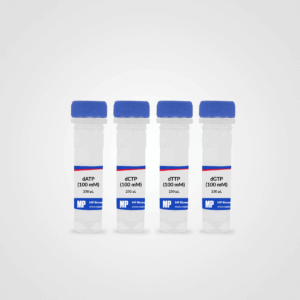 dNTP (dATP, dCTP, dTTP, dGTP) set