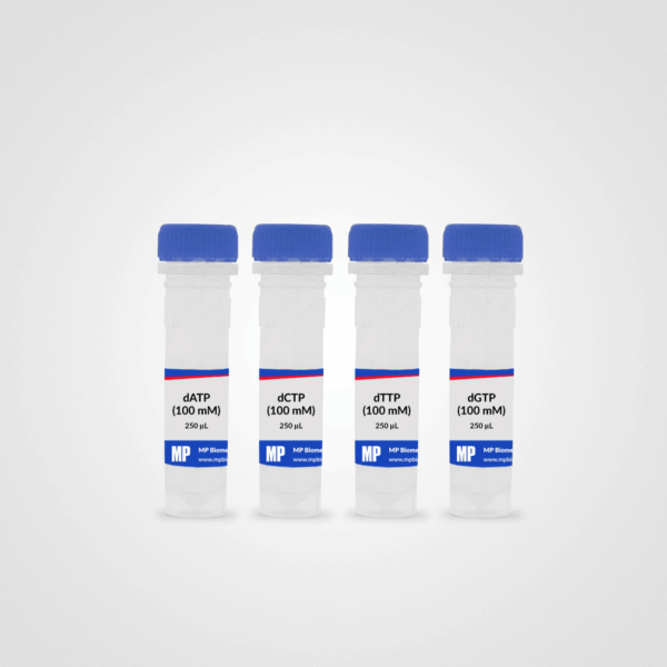 dNTP (dATP, dCTP, dTTP, dGTP) set