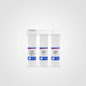RapidTaq Hot-Start DNA Polymerase