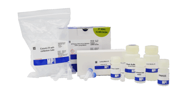 SPINeasy RNA Kit for Bacteria (with Lysing Matrix)