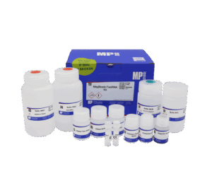 MagBeads FastRNA Kit