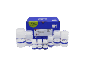 MagBeads FastDNA Kit for Blood