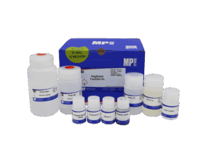 MagBeads FastDNA Kit