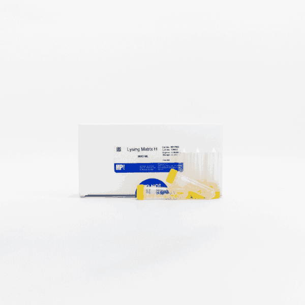 Lysing Matrix H, 2 mL tube