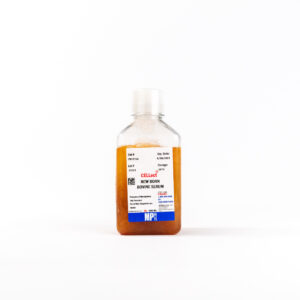 Serum, newborn bovine (NBS)