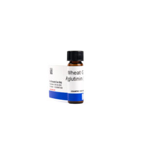Agglutinin, wheat germ