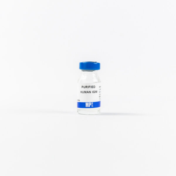 Purified Human IgM